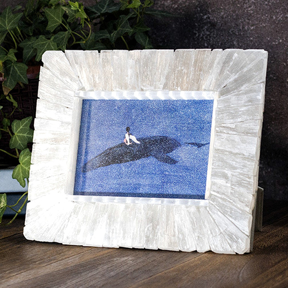Radiating Selenite Mineral Photo Frame with blue whale artwork beside green leaves